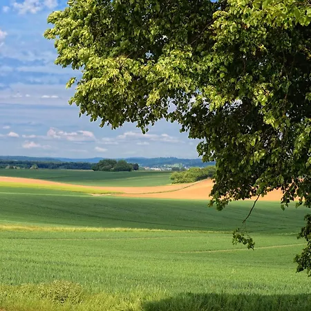 Petite - Ferien Und Businessapartment Bruchköbel