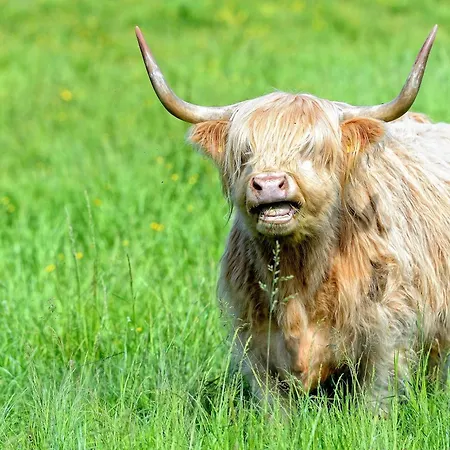 Petite - Ferien Und Businessapartment Lejlighed