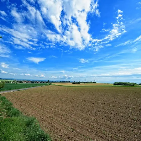 Lejlighed Petite - Ferien Und Businessapartment Bruchköbel