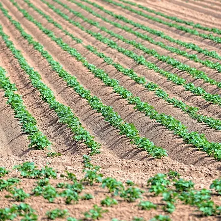 Lejlighed Petite - Ferien Und Businessapartment *